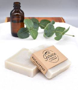 Eucalyptus Workout Soap